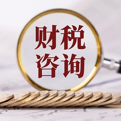 財(cái)稅咨詢
