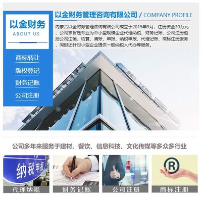 財(cái)務(wù)記賬-內(nèi)蒙古以金財(cái)務(wù)-財(cái)務(wù)記賬報(bào)表